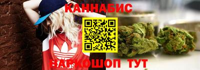 сатива Бузулук