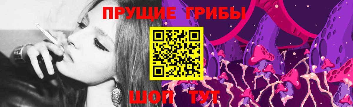 Псилоцибиновые грибы Psilocybine cubensis  закладки  Сибай  Вход с VPN 